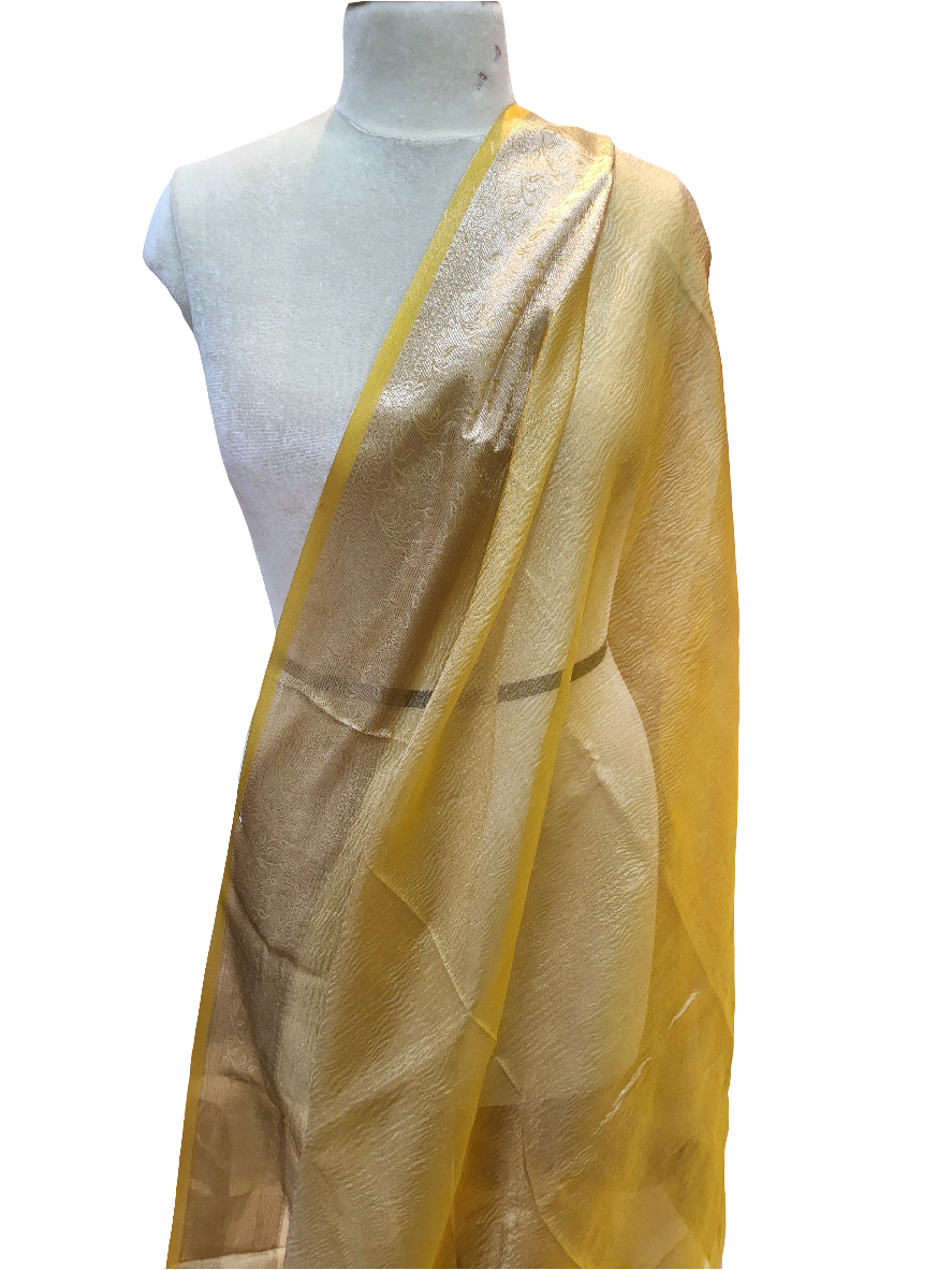Tissue Silk Saree