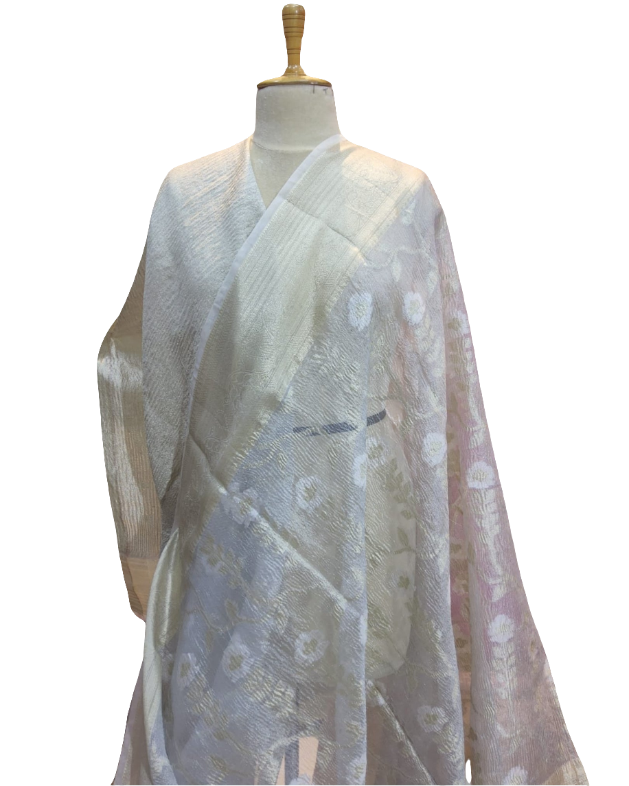 Tissue Silk Saree