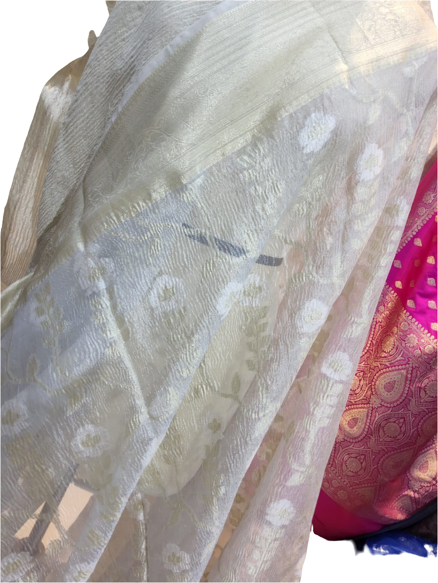 Tissue Silk Saree