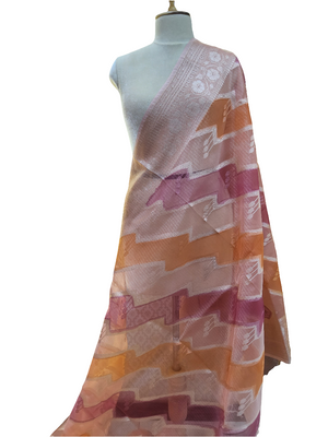 Tissue Silk Saree
